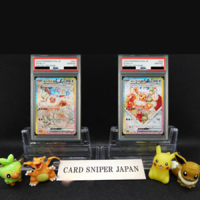 PSA10 Pokemon Card Eevee ex SAR 223/187 224/187 sv8a set