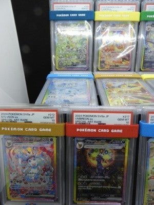 Pokemon Card Eevee's SAR All PSA10 Type Complete Set sv8a Terastal Festival ex